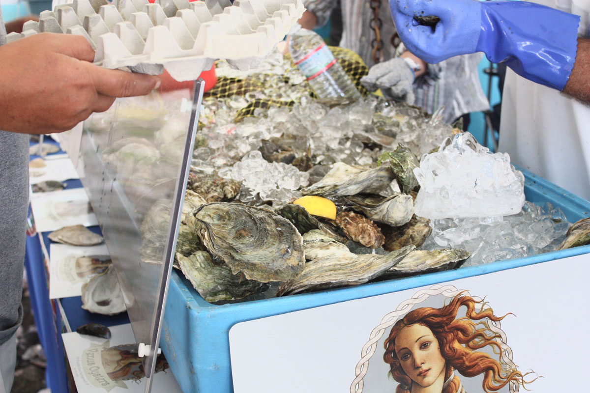 Fresh local oysters being shucked at the Rhode Island Oyster Festival