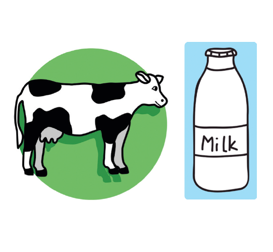 local milk illustration
