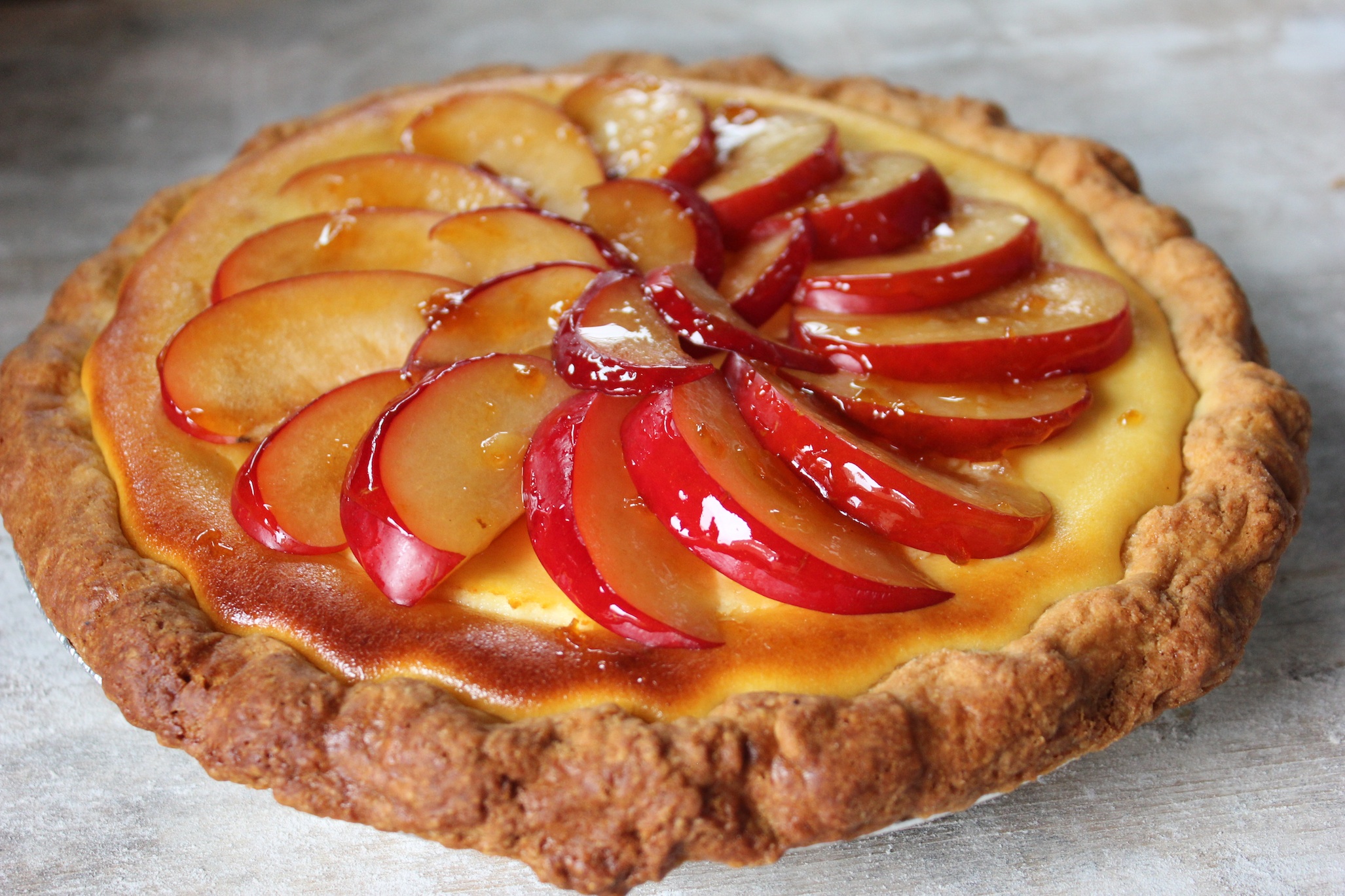 Italian Plum-Topped Ricotta Tart | Edible Rhody