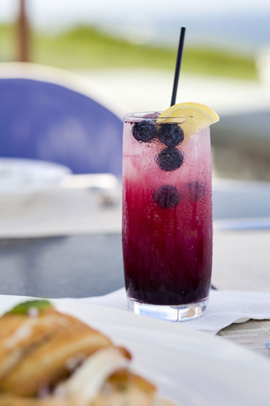 Spiked Blueberry Lemonade Recipe | Edible Rhody
