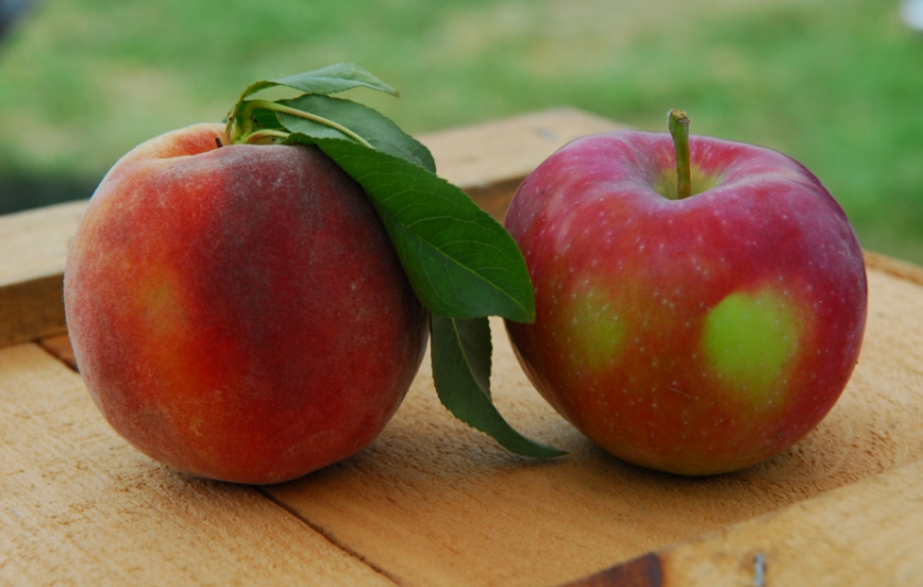 Peach and apple