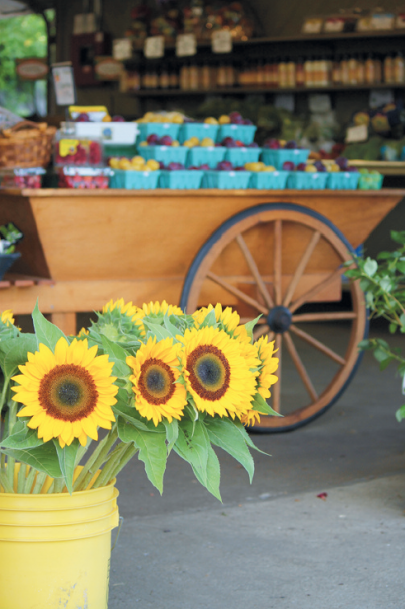 DeCastro farm store offers local produce, meat, dairy and flowers
