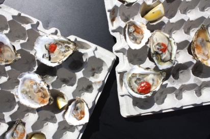 Rhode Island oysters at the Festival