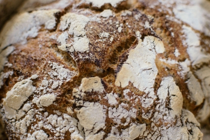 Seven Stars Bakery's sourdough loaf