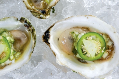 Raw oysters on the half shell