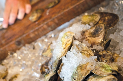Shucking oysters at the Matunuck Oyster Bar