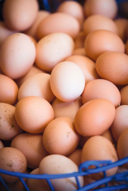 Baffoni's Poultry Farm's Eggs