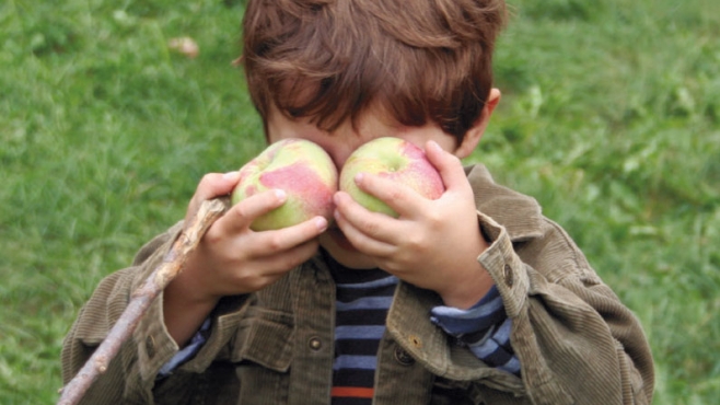 Holding Up Apples