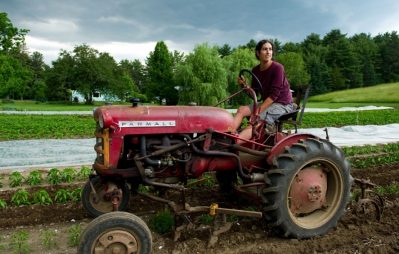 Diana Kushner driving her Farmall Cub at her farm, Arcadian Fields, in spring 2013.