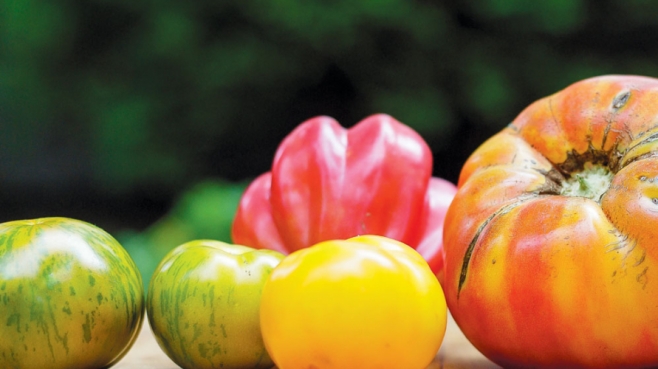 Variety of Heirloom Tomatoes