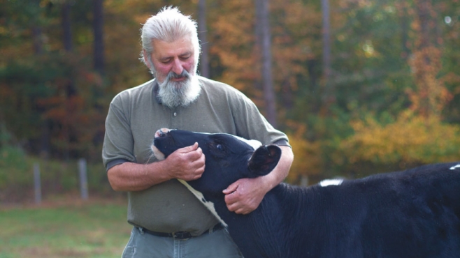 Frank Martinelli and Cow