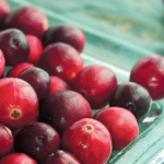 Cranberries fresh from the bog