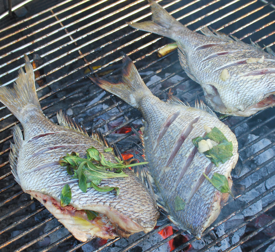 Scup Fish Clean The Tale of Scup and Butterfish: Please Don't Call Them Trash