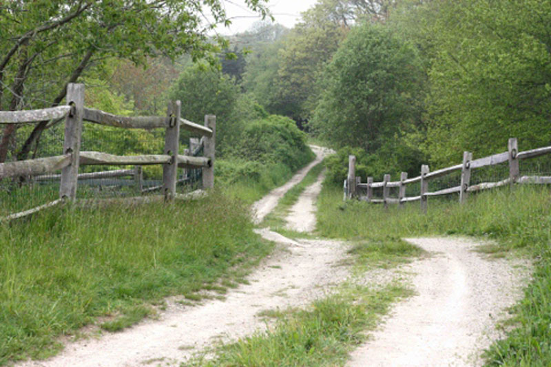 Farm tour road