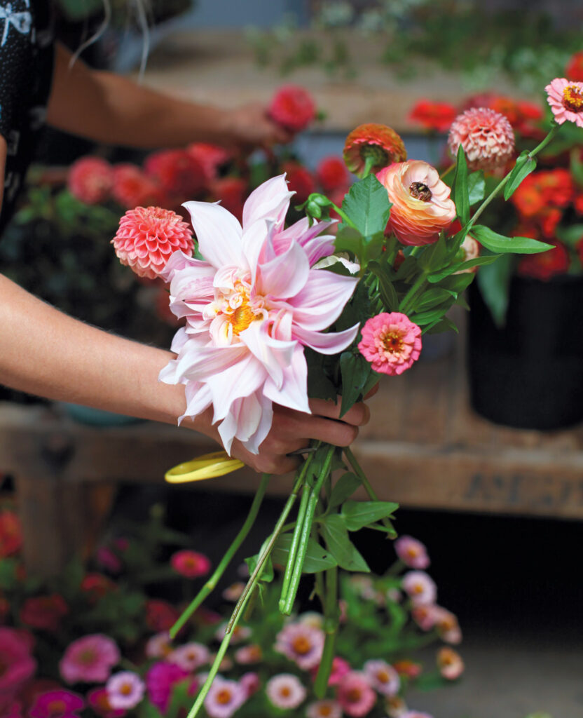 Flower Reverve The Floral Reserve and the Business of Blooms
