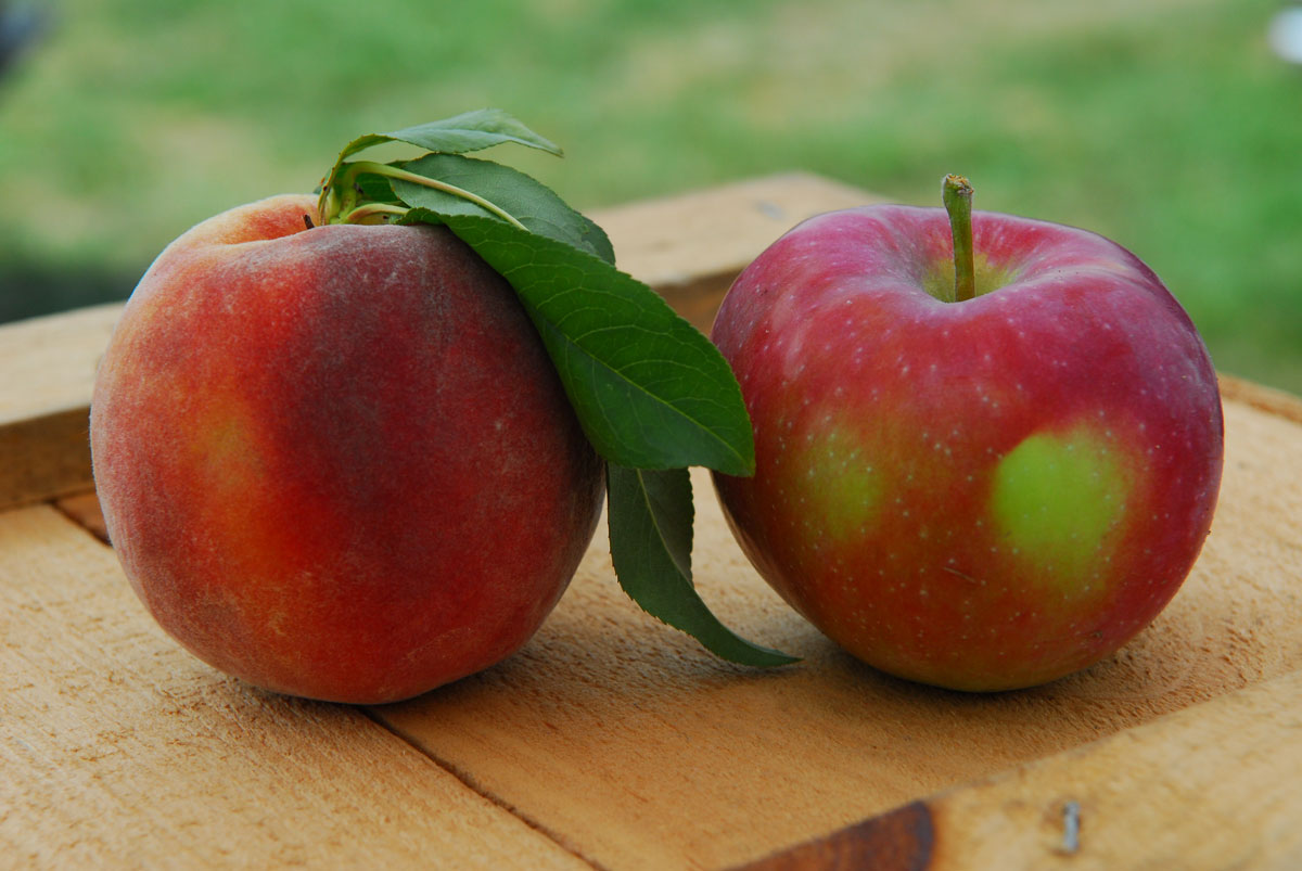 Peach and apple