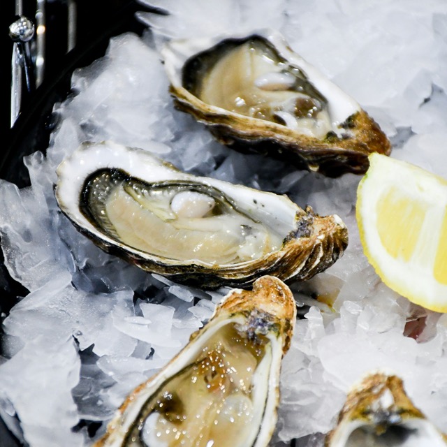 oysters served on the half shell with a slice of lemon