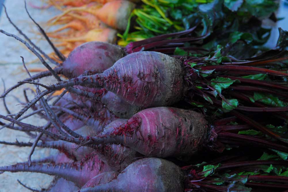 Winter Farmers Markets